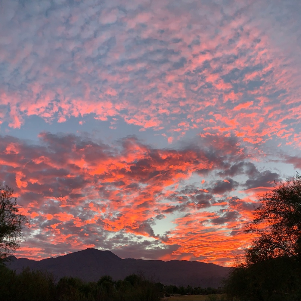 Meet your Posher, Leona